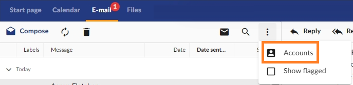 webmail - Email tab - email account settings.png
