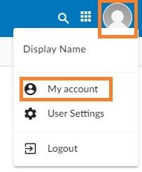 Webmail - how to access advanced settings for your email account (1).jpg