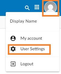 Webmail - how to access the User Panel.jpg