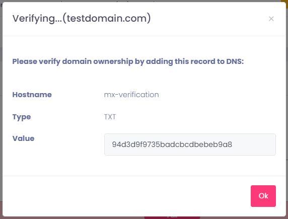 Admin Panel - step 3 - copy the TXT value for domain verification and add it to your DNS.JPG